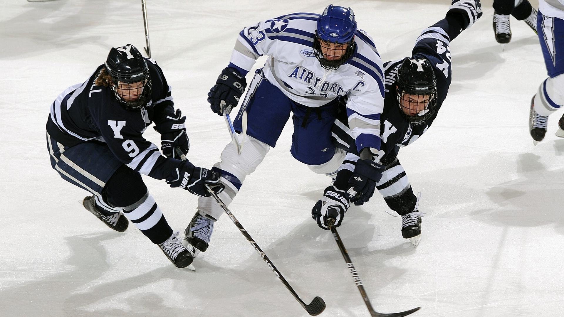 9游-乌鸦主帅称团队凝聚力是成功关键，乌鸦聚齐
